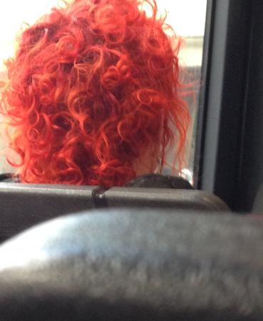 Rött hår på bussen